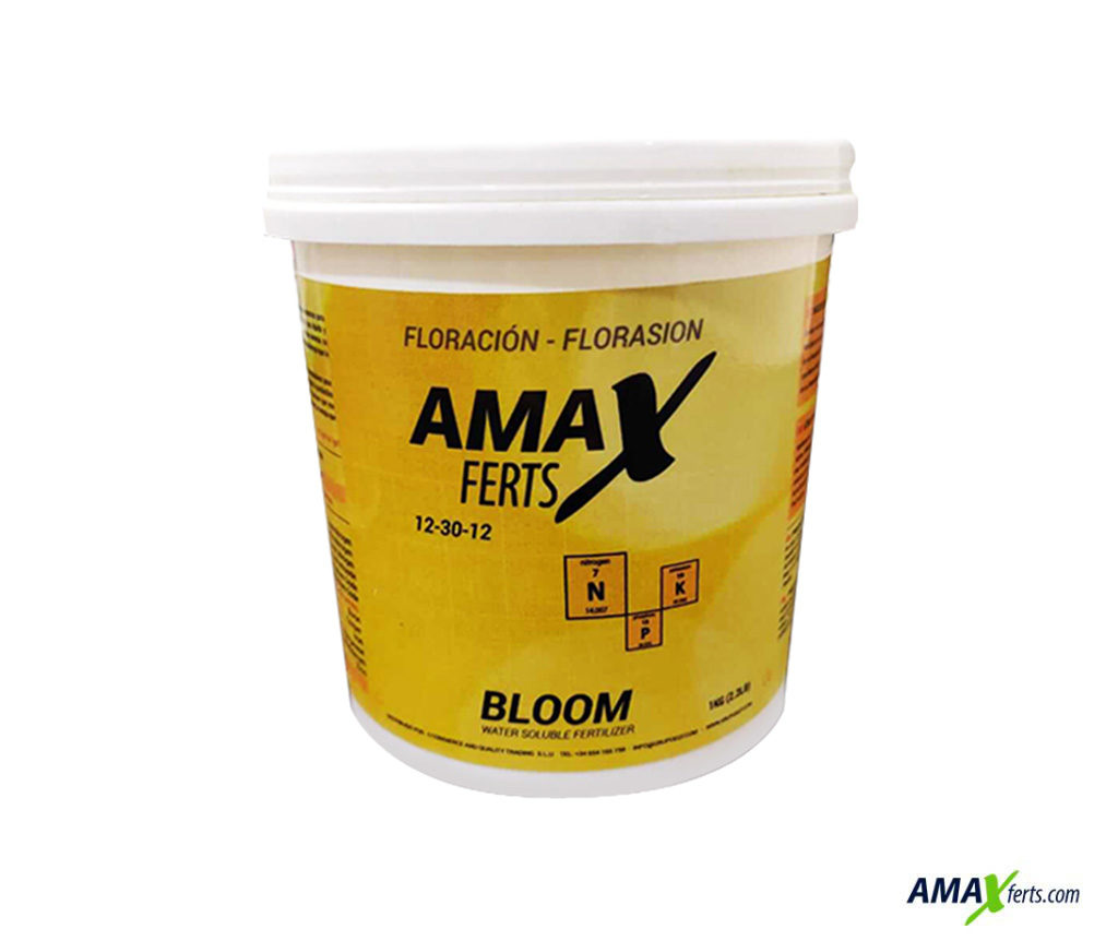 Amax Bloom